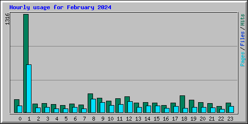 Hourly usage for February 2024