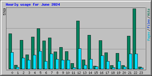 Hourly usage for June 2024