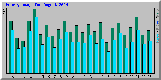 Hourly usage for August 2024