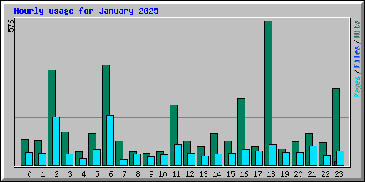 Hourly usage for January 2025